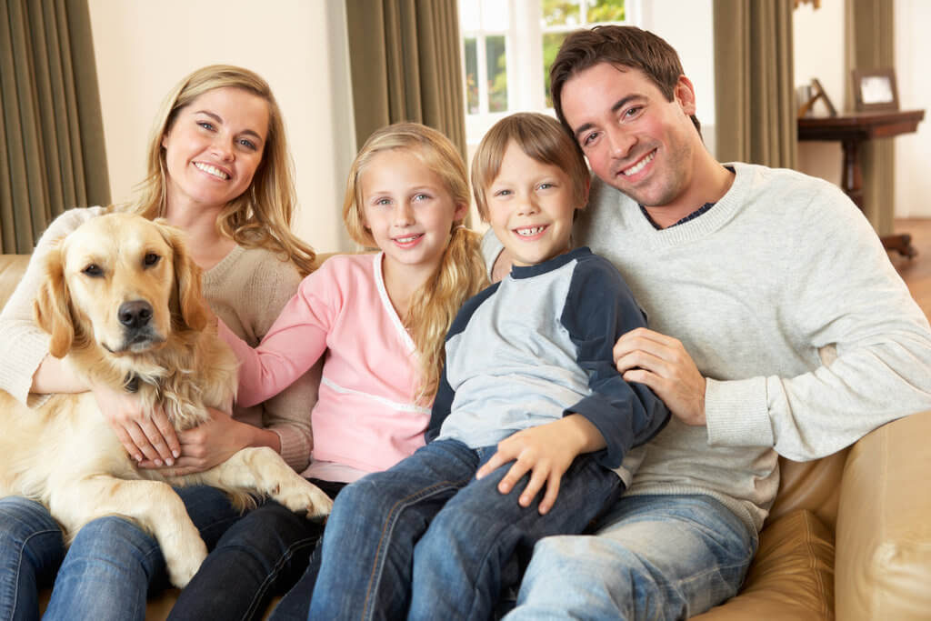 newton dentistry blog